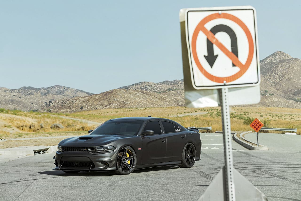 Detail view of 2014 Dodge Charger Scatpack with wheels