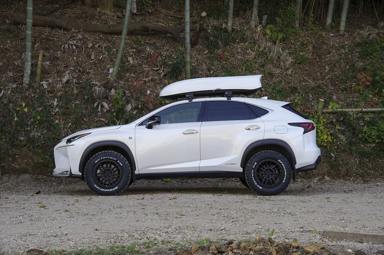 Rear view of 2017 Lexus NX300h with wheels