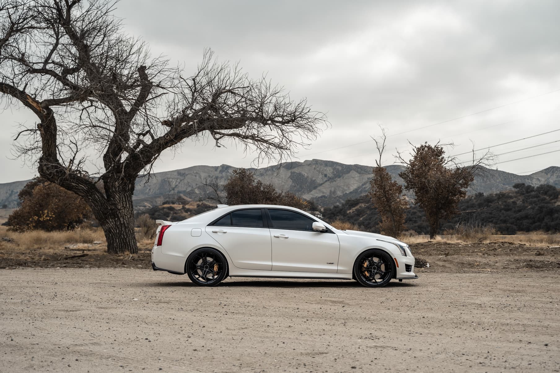 2018 Cadillac ATS V — wheels, rear view