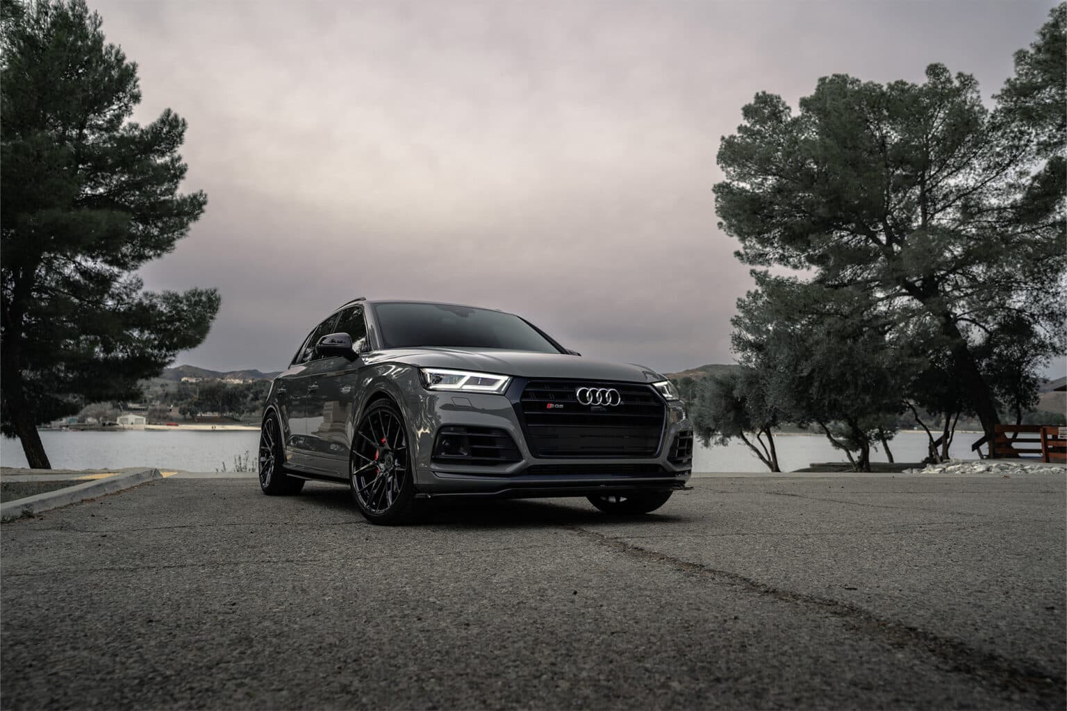 2019 Audi SQ5 — vehicle wraps, front view