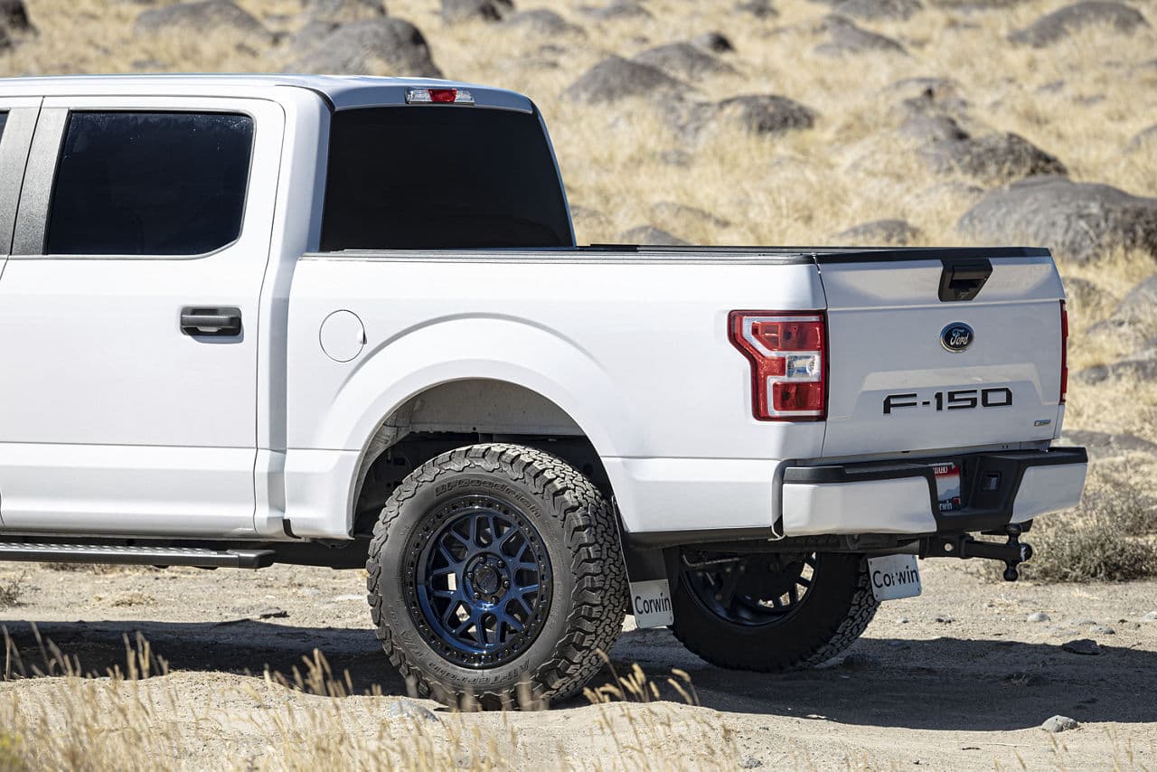 Rear view of 2019 Ford F150 with wheels