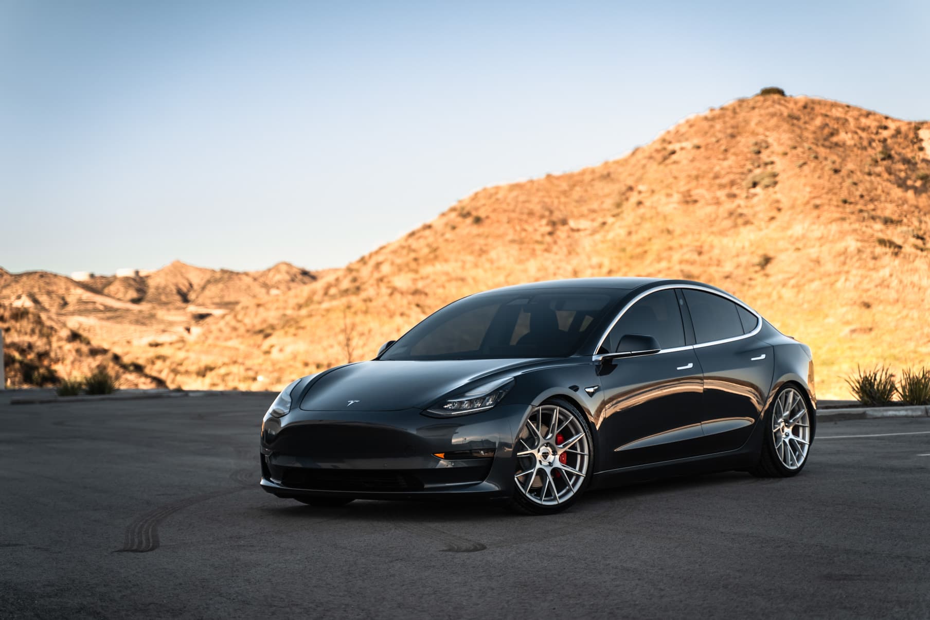2019 Tesla Model 3 — wheels, side profile