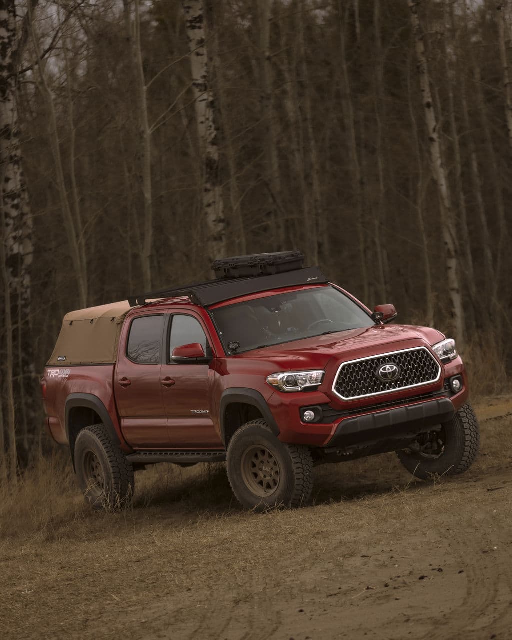Rear view of 2019 Toyota Tacoma with wheels