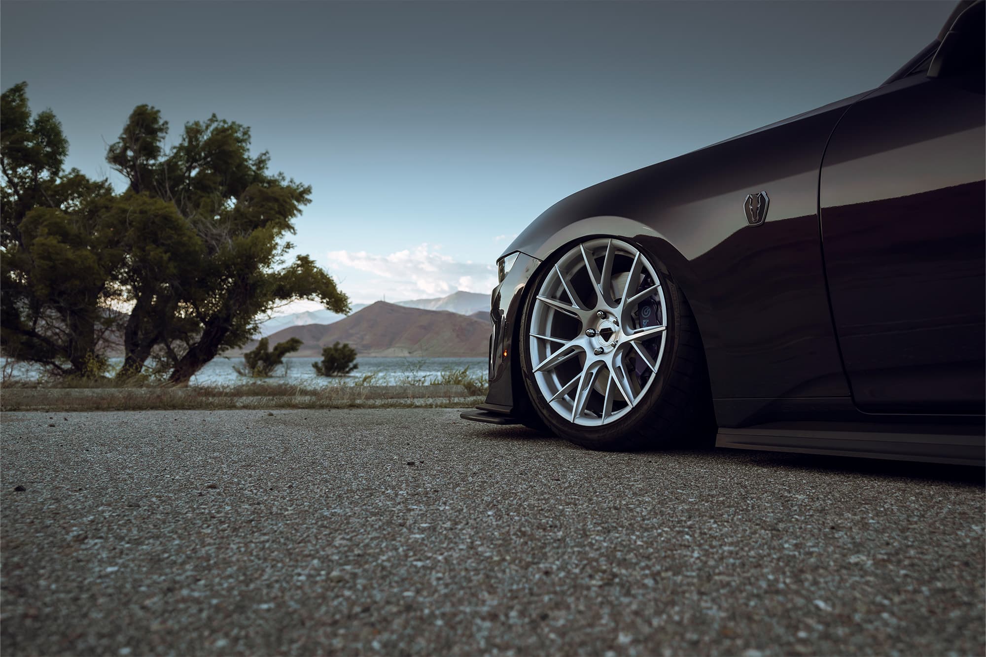2024 Ford Mustang Dark Horse — wheels, side profile