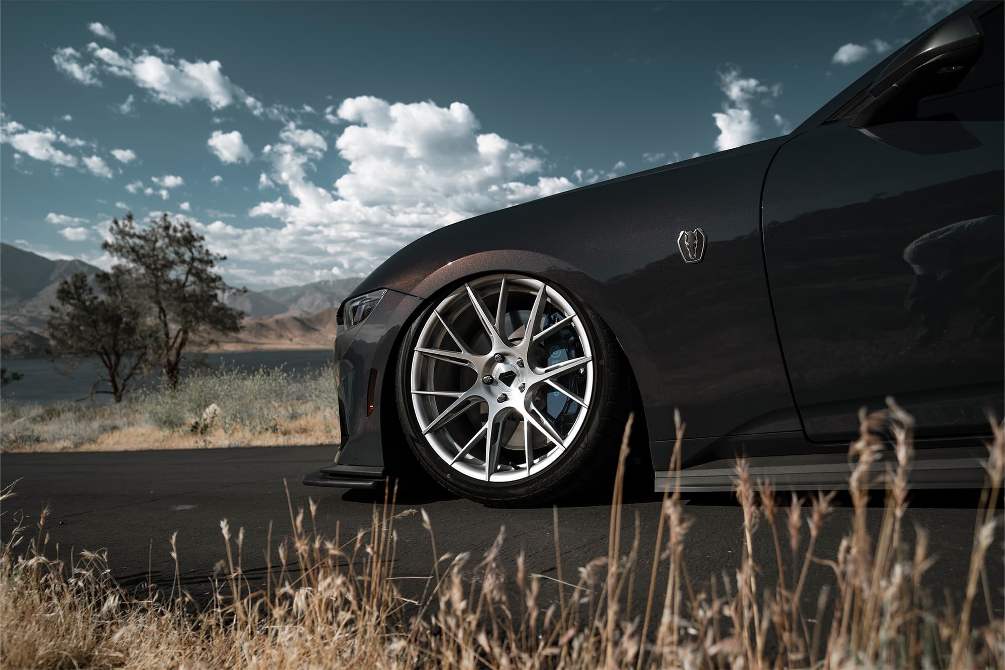 2024 Ford Mustang Dark Horse — wheels, interior