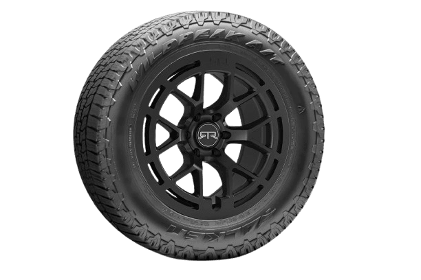 Wheels & Tires