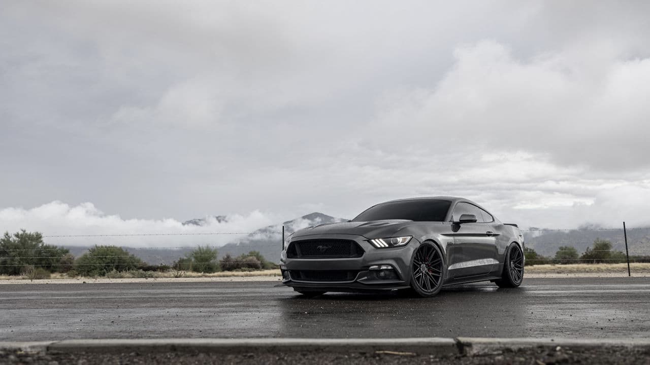 Rear view of 2017 Ford Mustang with wheels