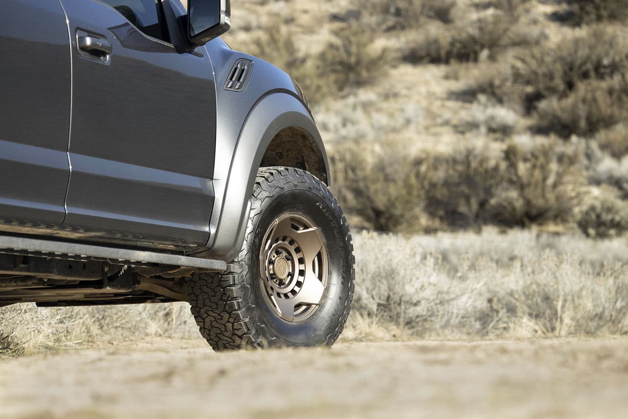 Rear view of 2018 Ford F150 Raptor with wheels