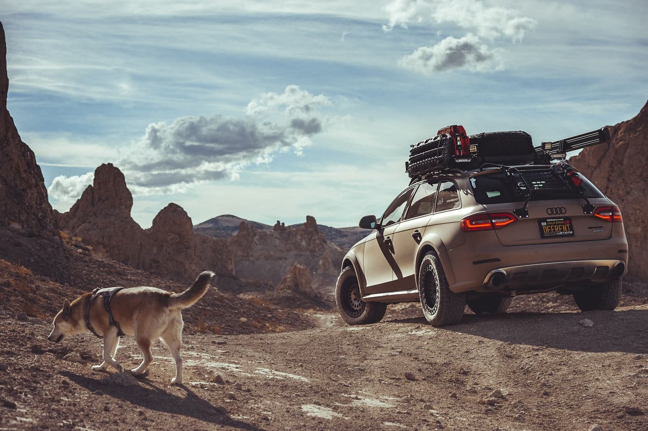 Side profile of 2019 Audi Allroad with wheels