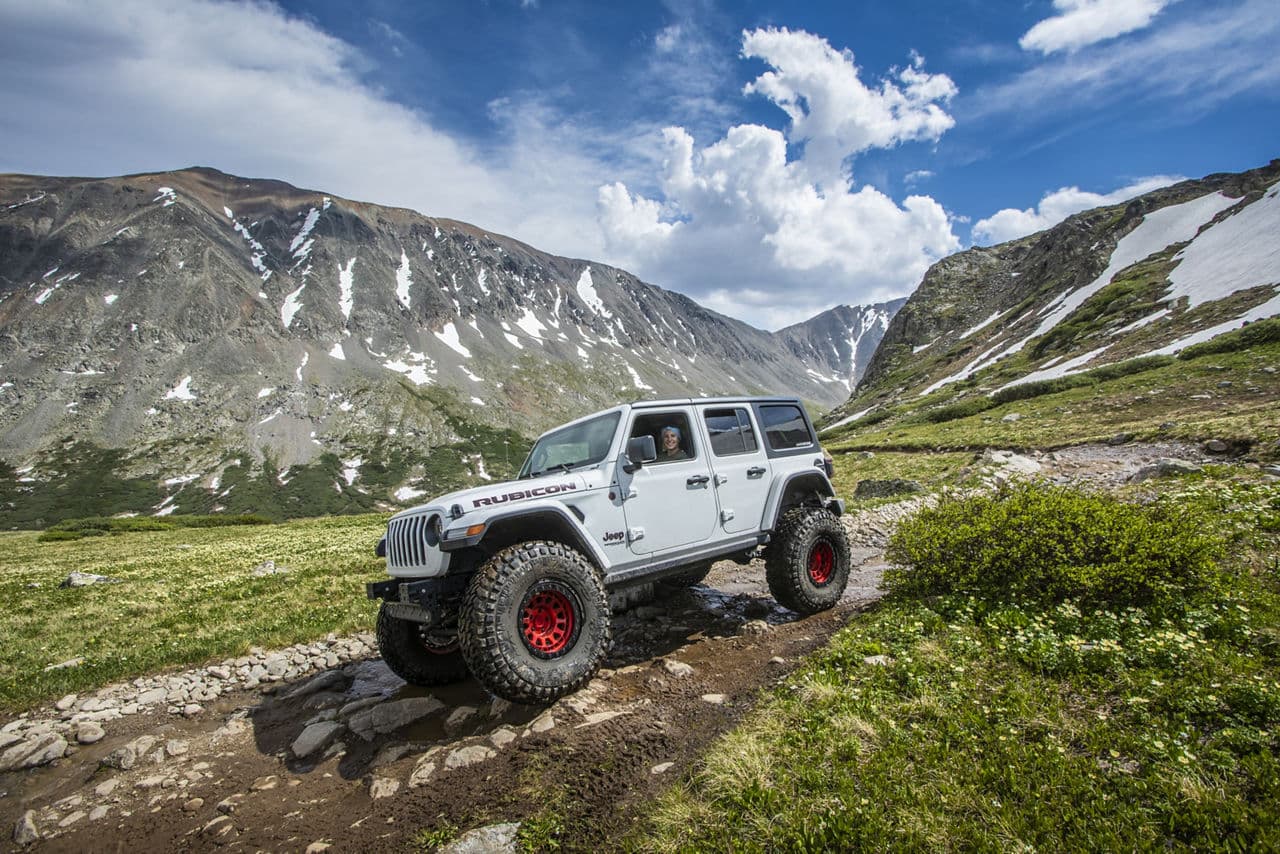 Rear view of 2019 Jeep Wrangler with vehicle wraps