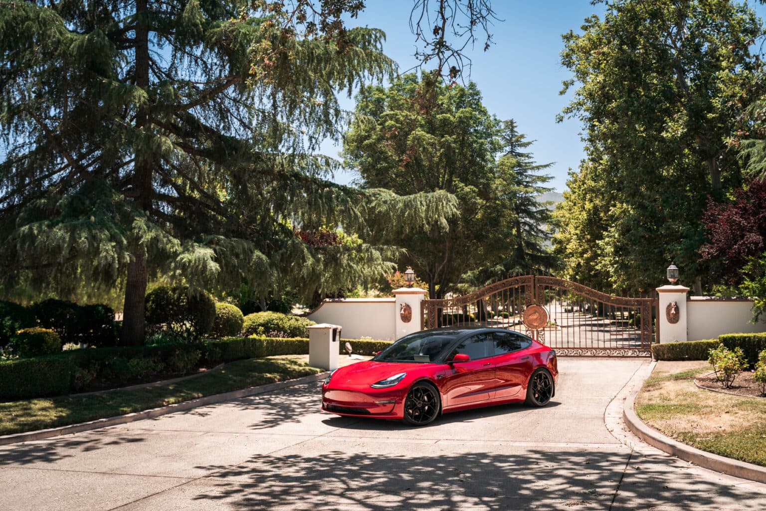 2019 Tesla Model 3 — wheels, front view