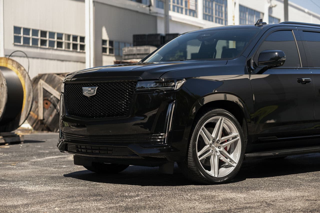 Rear view of 2020 Cadillac Escalade with wheels
